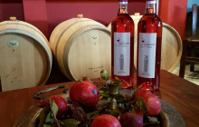 Avalon Travel Services4