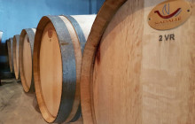 Avalon Travel Services5