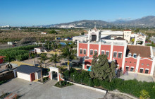 The Best Day Tours531