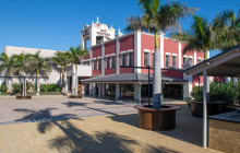 The Best Day Tours532