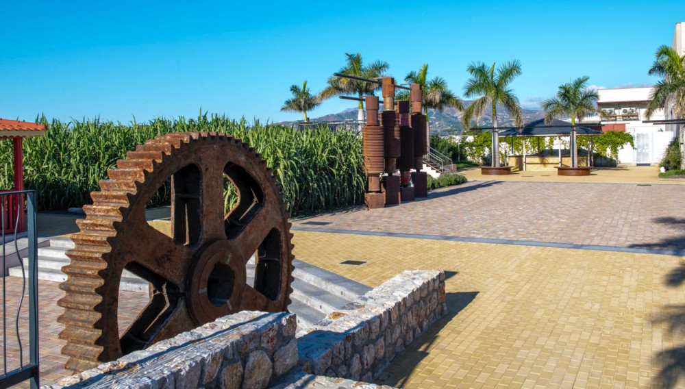 Private Motril Flavors & Landscapes Tour