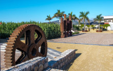 The Best Day Tours533