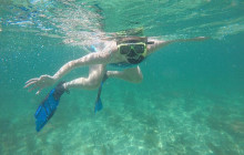 Dolphin Safari Charters5