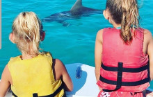 Dolphin Safari Charters7