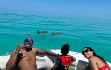 Dolphin Safari Charters7