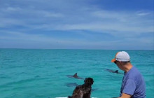 Dolphin Safari Charters10