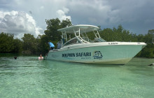 Dolphin Safari Charters2