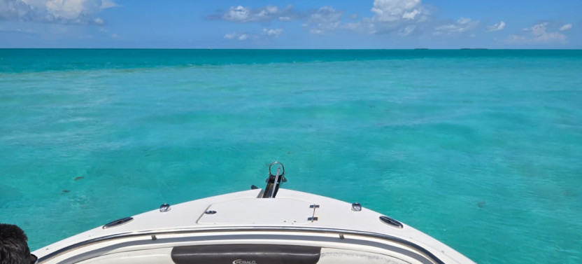 Private Charter Boat Half Day: Vitamin Sea