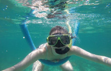 Dolphin Safari Charters11