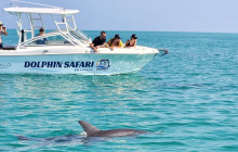 Dolphin Safari Charters13