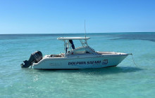 Dolphin Safari Charters2