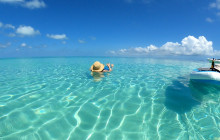 Dolphin Safari Charters4