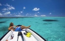 Dolphin Safari Charters14