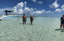 Dolphin Safari Charters15