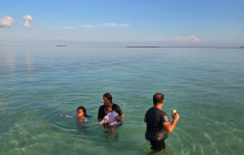 Dolphin Safari Charters16