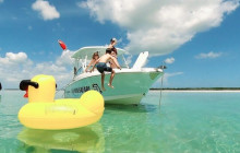 Dolphin Safari Charters17