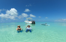 Dolphin Safari Charters18