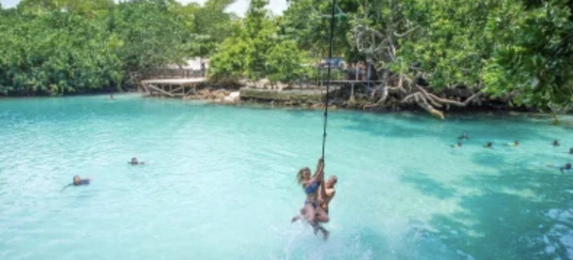 Half Day Tour In Blue Lagoon And Eden