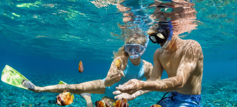 Muscat: Dolphin Watching & Snorkeling Trip