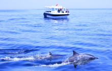 Sidab Sea Tours3