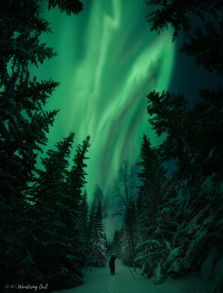 Tromsø: Adult Only Aurora Hunt with Citizen Science