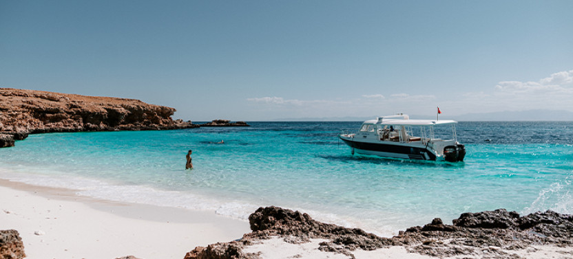 Daymaniyat Islands Snorkeling & Dolphin Watching