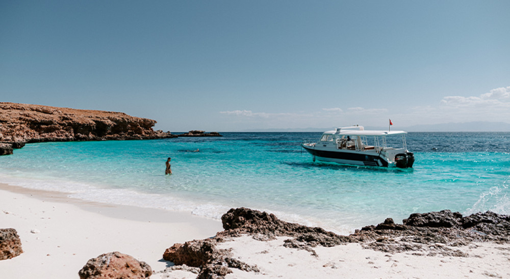 Daymaniyat Islands Snorkeling & Dolphin Watching