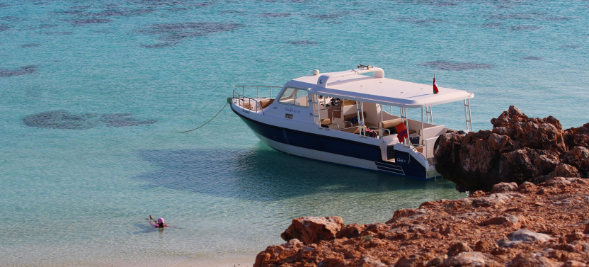 Daymaniyat Islands Snorkeling & Dolphin Watching