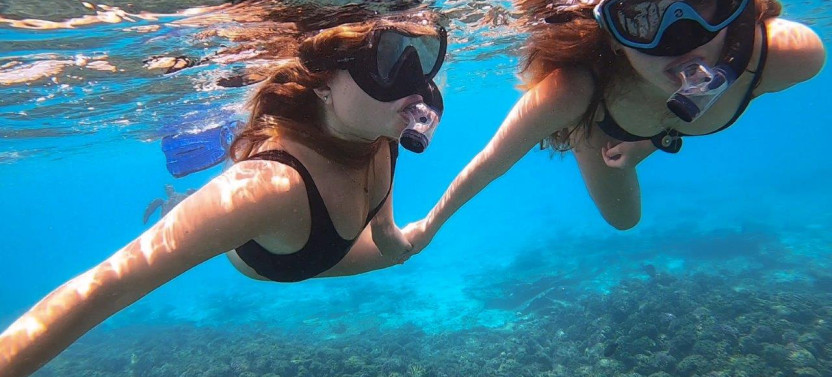 Daymaniyat Islands Snorkeling & Dolphin Watching