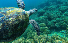 Sidab Sea Tours6