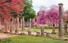 Athena Private Tours3