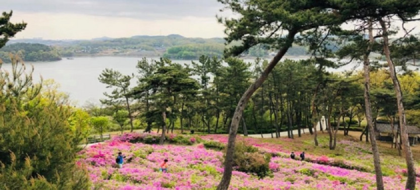 West Coast – Ganghwa Island Tour