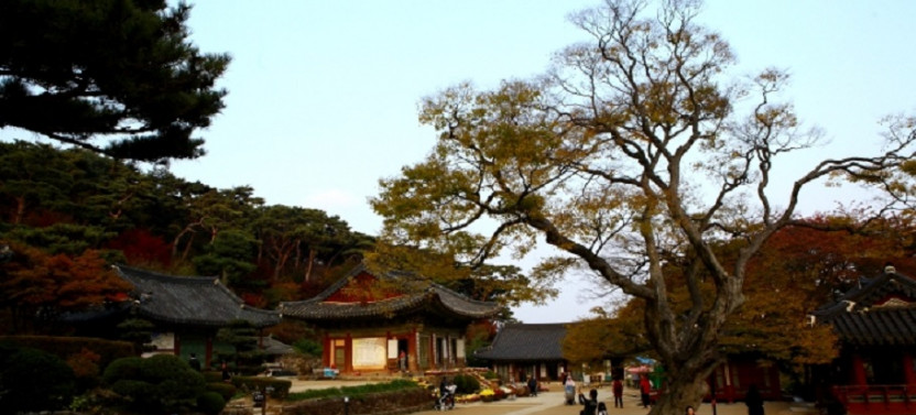 West Coast – Ganghwa Island Tour