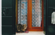 Italian ArtVentures Private Tours4