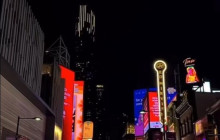 City Sightseeing Toronto7