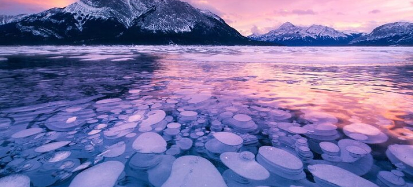 Full Day Sunwapta Falls or Abraham Ice Bubbles, Peyto Lake, & Bow Lake Tour