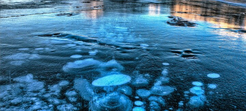 Full Day Sunwapta Falls or Abraham Ice Bubbles, Peyto Lake, & Bow Lake Tour