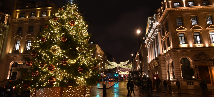 Private Christmas Lights Walking Tour of London