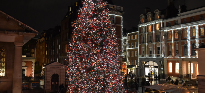 Private Christmas Lights Walking Tour of London