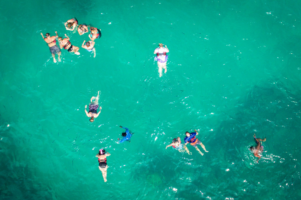 Happy Fish Catamarans