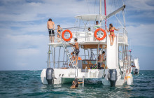 Happy Fish Catamarans6