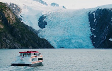 Phillips Cruises & Tours, LLC1