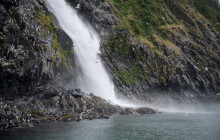 Phillips Cruises & Tours, LLC6