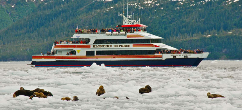 26 Glacier Cruise in Prince William Sound