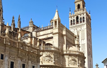 The Best Day Tours536