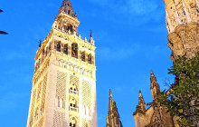 The Best Day Tours538