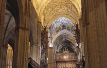 The Best Day Tours539