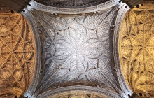 The Best Day Tours543