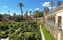 The Best Day Tours545