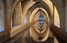 The Best Day Tours546